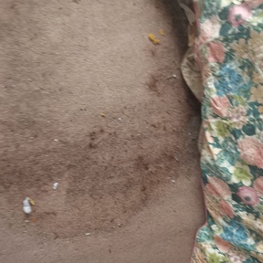 Deep Cleaning Chulmleigh